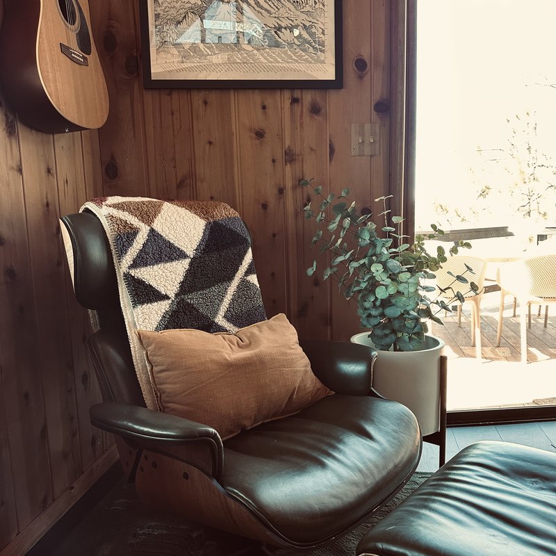 Reading chair with guitar and mountain print